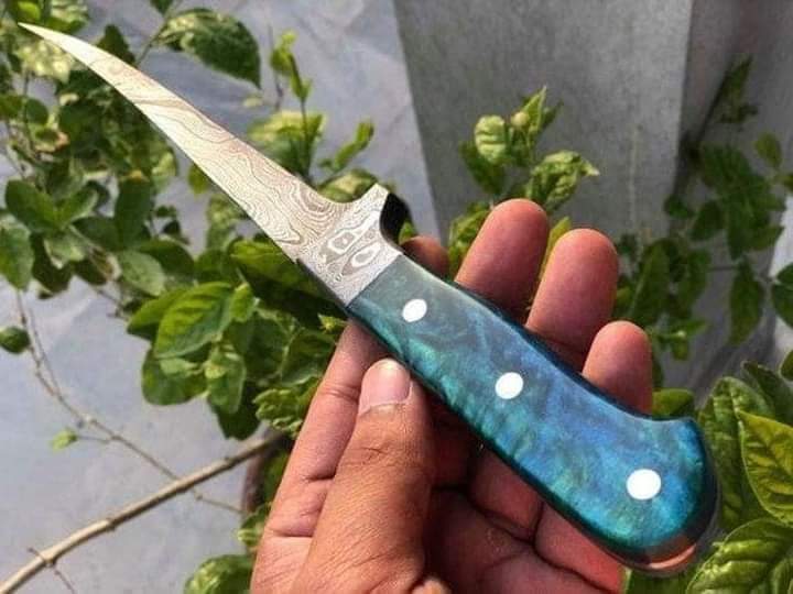 Beautiful Custom Handmade Damascus Steel Fishing Fillet knife